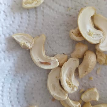 Kayseri Tanzim Bayat Ve Kurtlu Kuruyemiş Sorunu