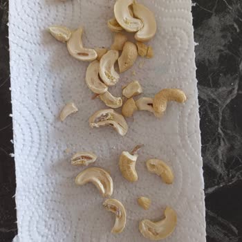 Kayseri Tanzim Bayat Ve Kurtlu Kuruyemiş Sorunu