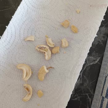 Kayseri Tanzim Bayat Ve Kurtlu Kuruyemiş Sorunu