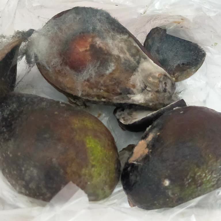 Kayseri A101 Çürük Ürün Gönderdi