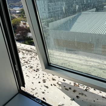 Doubletree By Hilton Afyon Otelinde Temizlik Sorunu