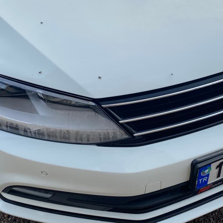 Aksigorta Kasko Şirketi İkame Araç Sağlamıyor, Mağduriyet Yaşıyorum