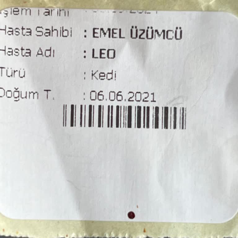 Ankara Üniversitesi Veteriner Fakültesi Ankara Veteriner Fakültesi