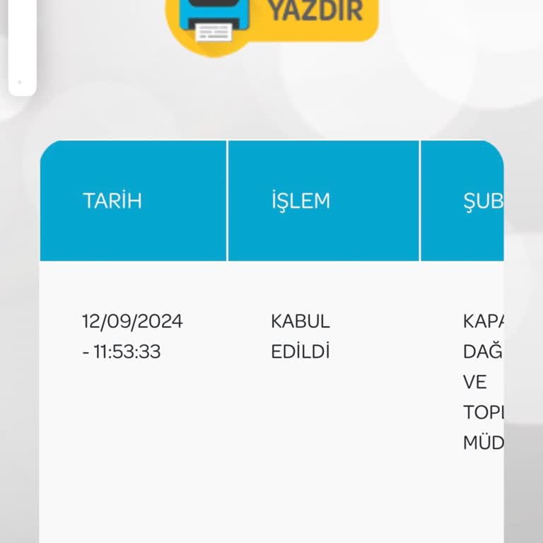 PTT Kargo'nun Teslimat Sorunları Ve İlgisizliği