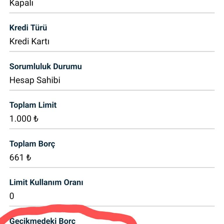 HSBC Bankası Na Olan Borcumu Ödediğim Halde, Güncelleme Yapılmıyor.