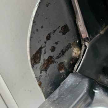 1 Yıllık Vestel Bulaşık Makinemin İç Haznesinin Paslanması