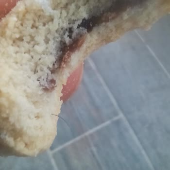 Kurabiyecioğlu İçerisinden Saç Ve Kıl Çıkıyor!