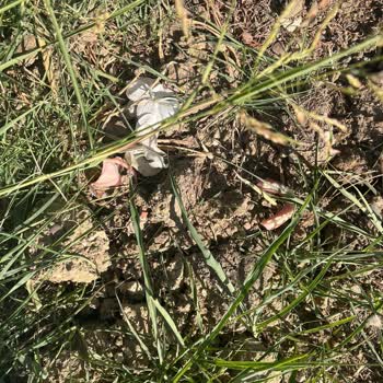 İstanbulmezarbakimi Mezar Bakımı İçin Gönderilen Paranın Akıbeti