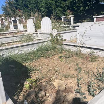 İstanbulmezarbakimi Mezar Bakımı İçin Gönderilen Paranın Akıbeti