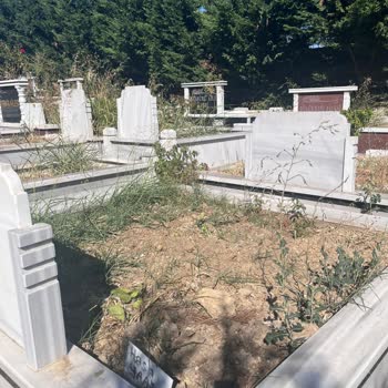 İstanbulmezarbakimi Mezar Bakımı İçin Gönderilen Paranın Akıbeti