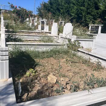 İstanbulmezarbakimi Mezar Bakımı İçin Gönderilen Paranın Akıbeti