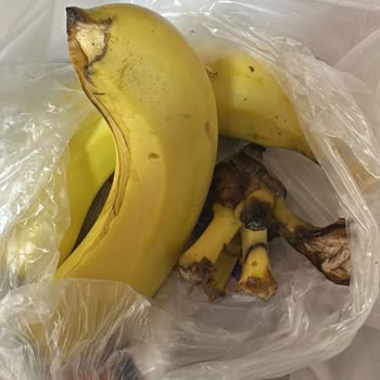 Altunbilekler Online Market Pişmanlığı