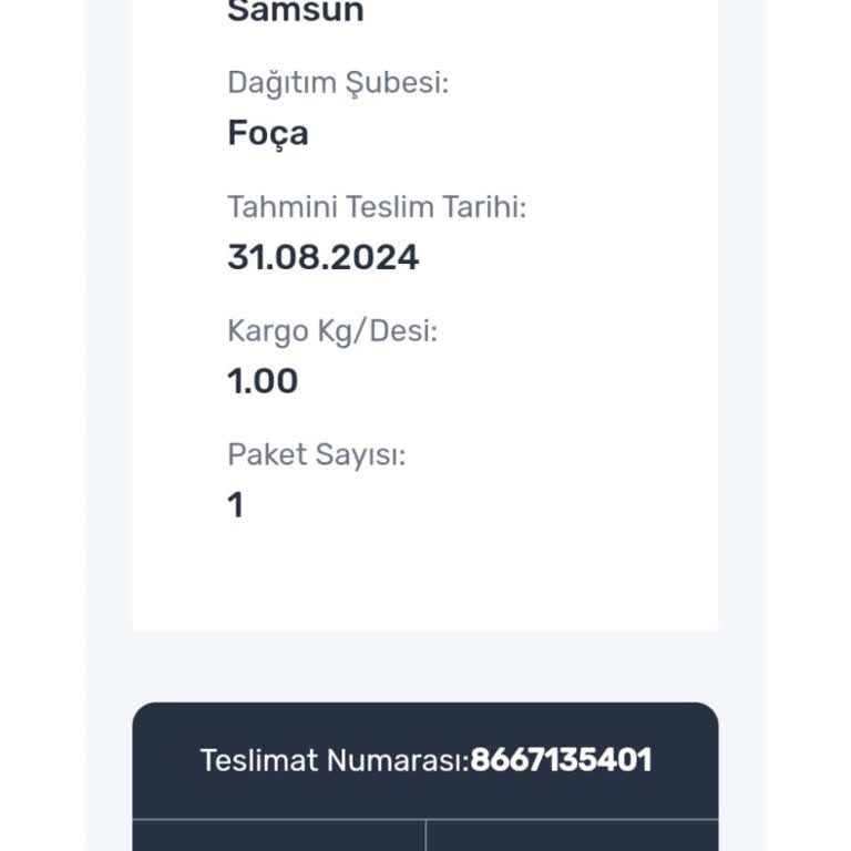 Kaybolan Kargo: Sürat Kargo'nun Ciddiyetsizliği