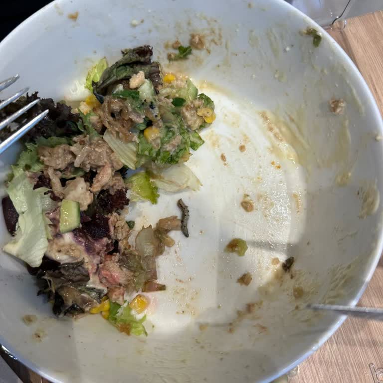 Basil Salata Salatadan Tırtıl Çıktı