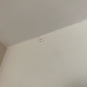 Haydarpasha Palace Otel Pis Kalabalık Özensiz İlgisiz