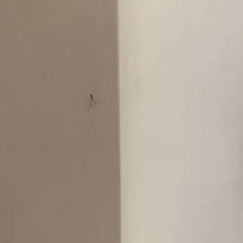 Haydarpasha Palace Otel Pis Kalabalık Özensiz İlgisiz