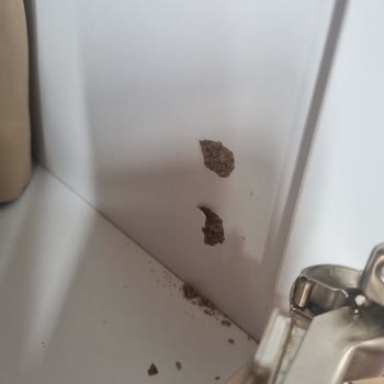 Koçtaş Gardırop Ve Uymayan Çekmeceler, Kalitesiz Malzeme