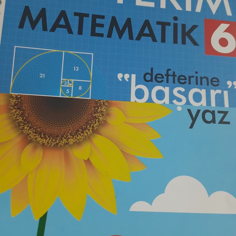 Arı Yayıncılık 6. Sınıf Matematik Mini Test Cevap Anahtarı Eksikliği