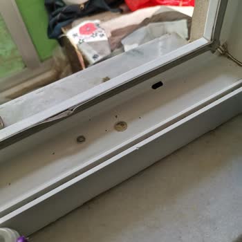 Adopen Conta Mutfak Kapı Ve Cam Conta Çürümesi