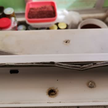 Adopen Conta Mutfak Kapı Ve Cam Conta Çürümesi