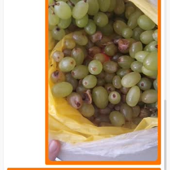Ayıplı Mal Satan Migros
