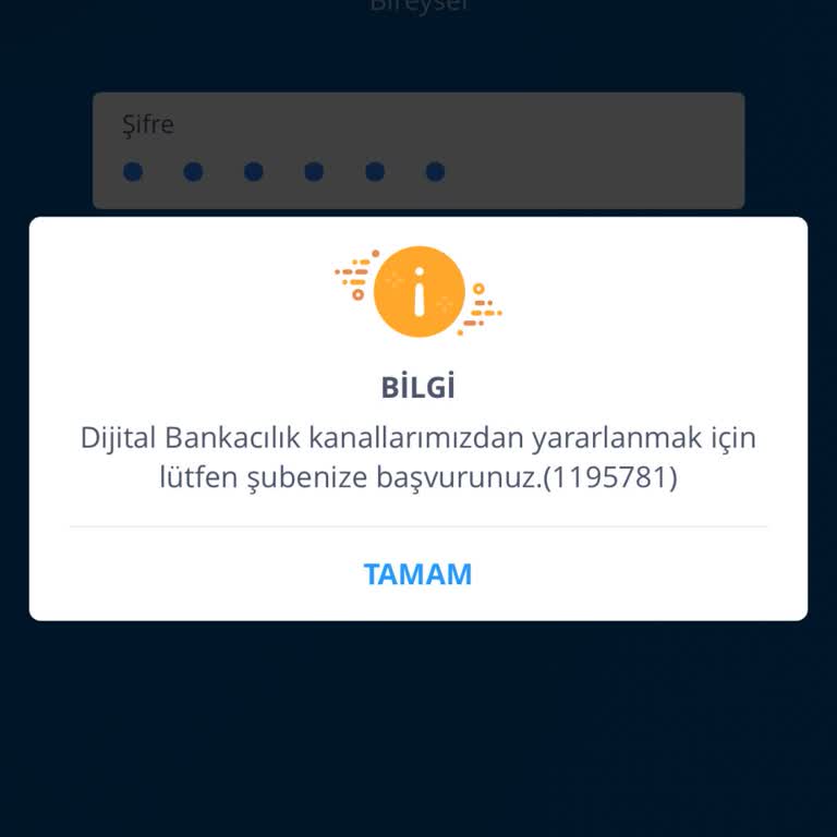 İş Bankası Bir Anda Hata Verdi