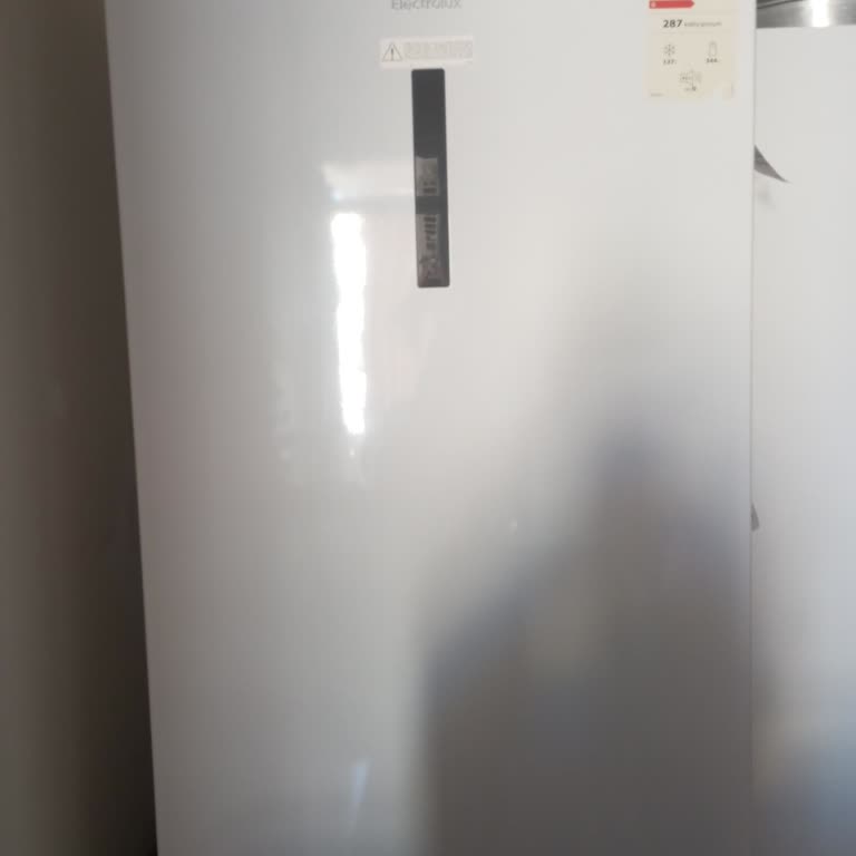 Electrolux Buzdolabımın Garanti Kapsamında Yaşadığım Sorunlar