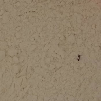 Yelmenler Un Markası Böyle Bir Şey Görmedim