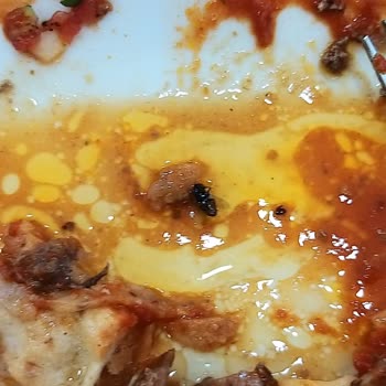 Kervan Kebap Salonu (Teras Park AVM) Kervan Hijyen Sıfır