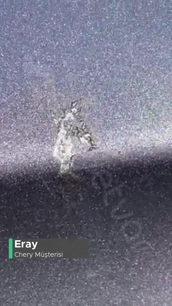 Chery Aldım Alalı Sorunlu! videonun kapak resmi