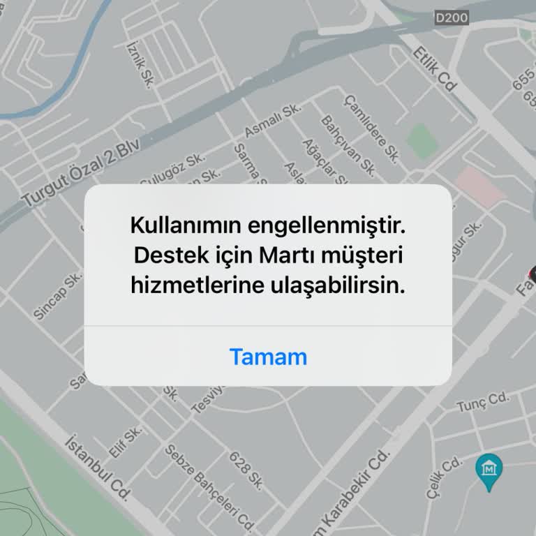 Martı Tag Erişim Engeli
