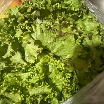 Migros Hemen Siparişimde Gelen Çürük Meyve Ve Sebzeler
