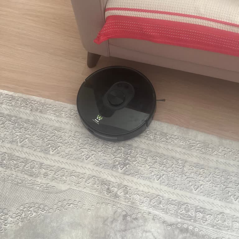 Wiami Çevrimdışı Hatası Veriyor