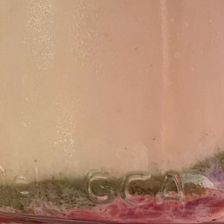 Wefood Matcha Tozu Pütürlü