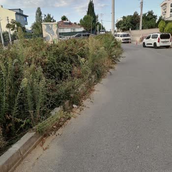 İstanbul Büyükşehir Belediyesi Çayırova Belediyesinin Sorumsuzluğu