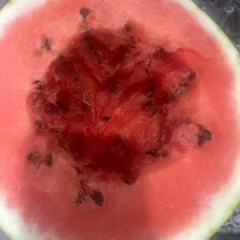 Migros Mağazasından Aldığım Karpuz Kötü Çıktı