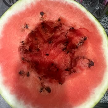 Migros Mağazasından Aldığım Karpuz Kötü Çıktı