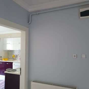 Marshall Boya Yanıltıcı Renk Ve Uygun Olmayan Sonuçlar