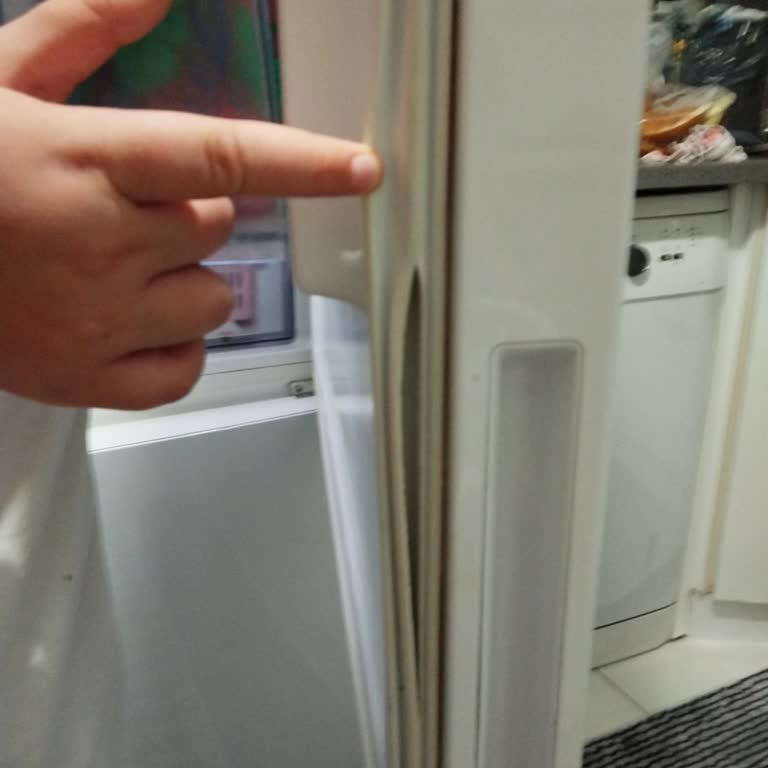 Samsung Buzdolabı Conta Sorunu