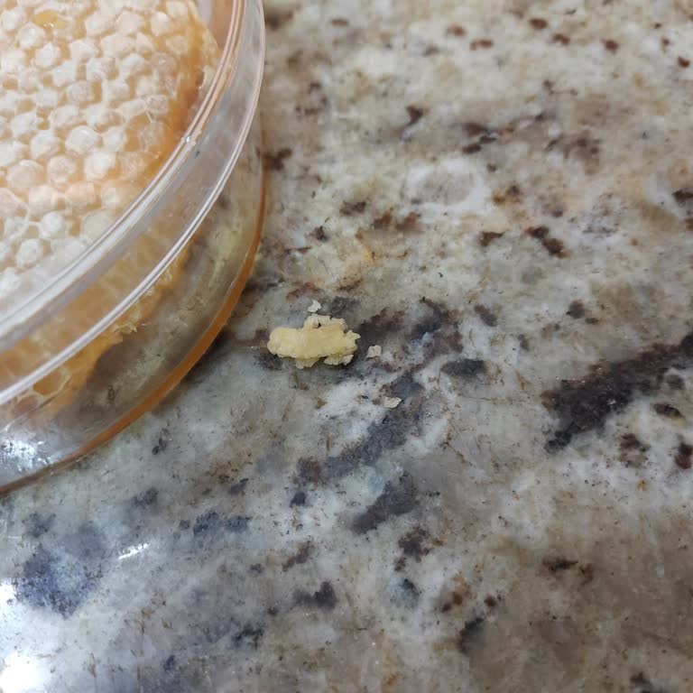 Marmaris Balcı Gökmen Petek Balında Hüsran