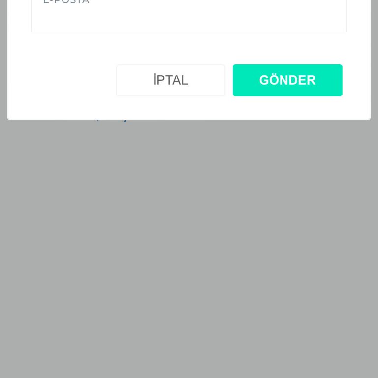 Shopier Şifre Sorunu Mail Gelmiyor