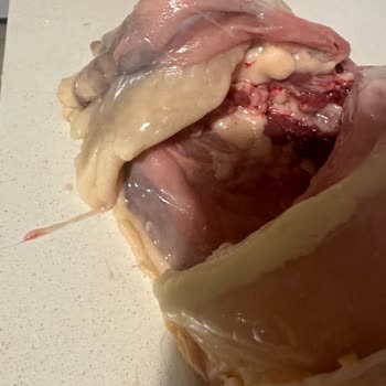 Migros'tan Aldığımız Tavuk Bozulmuş Çıktı