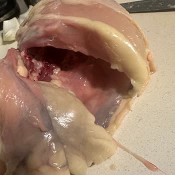 Migros'tan Aldığımız Tavuk Bozulmuş Çıktı