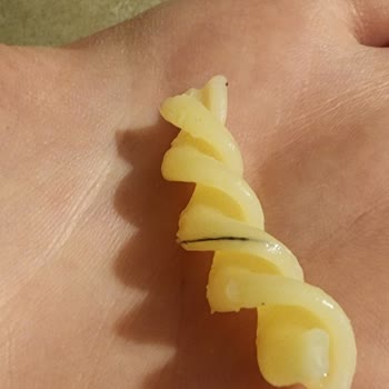 Migros Marka Makarnadan Kıl Çıktı
