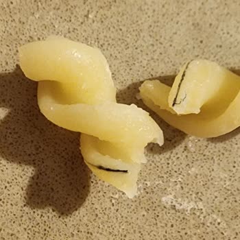 Migros Marka Makarnadan Kıl Çıktı
