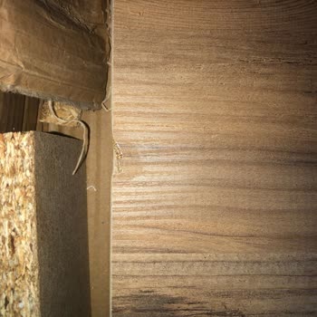 Evdemo Home Design Evdemo Hatalı Ve Kırık Ürünü İade Almıyor