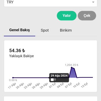 Bitlo'dan Para Çekemiyorum