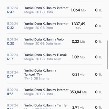 Turkcell İnternet Kullanımı Ve Fatura Sorunu