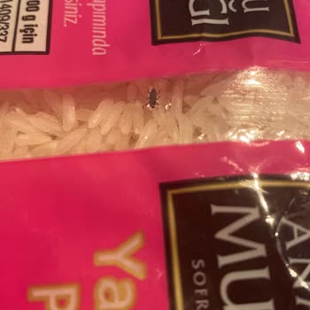 Anadolu Mutfağı Ayıkla Böceğin Pirincini!