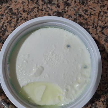 Pınar Et ve Süt Küflü Doğal Yoğurt